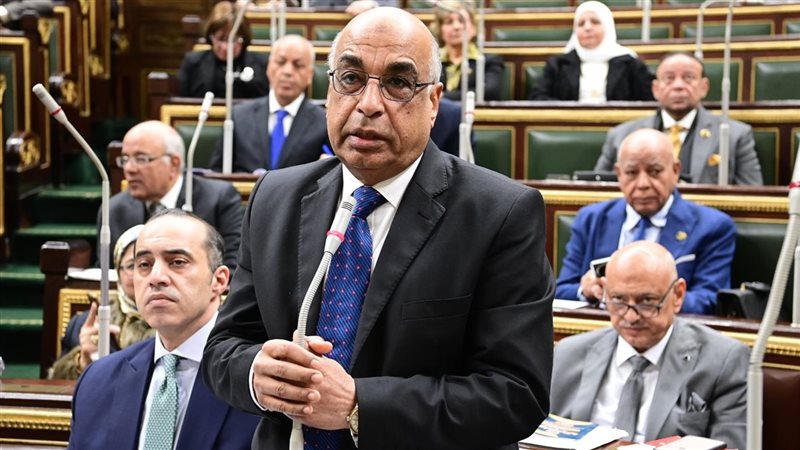 وزير العدل أمام جلسة