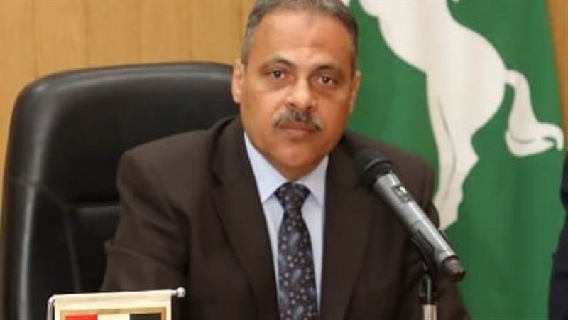 محافظ الشرقية 