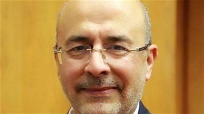  الدكتور محمد أنور،