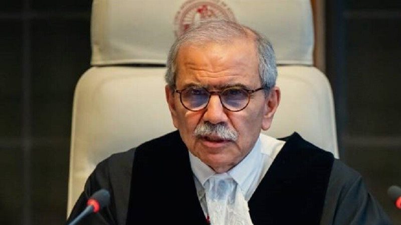 نواف سلام، فيتو 