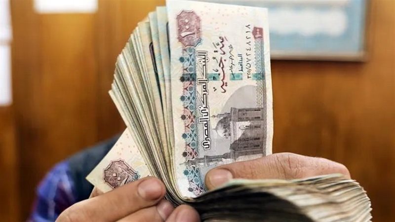ضوابط عمل وتشكيل