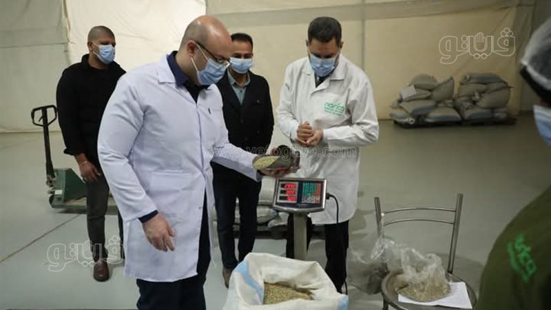 محافظ بني سويف يتفقد