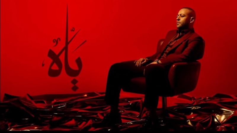 تامر عاشور، فيتو