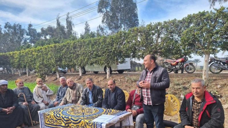 زراعة الشرقية: تنفيذ