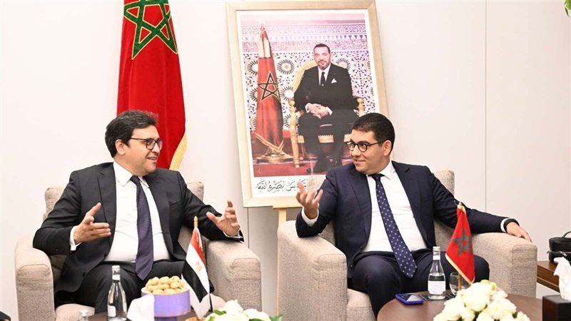وزيري الثقافة المصري