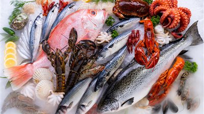 أسعار السمك اليوم بسوق العبور، المكرونة تبدأ من 30 والسبيط بـ 200 جنيه 