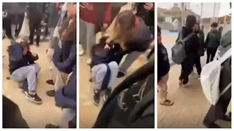 خناقة مدرسة التجمع،