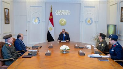 يوم رئاسي حافل، السيسي يعفو عن 4600 مسجون ويهنئ ترامب ويبحث تطورات غزة مع مستشار النمسا