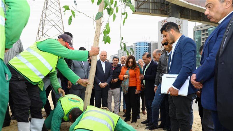 مشروع تشجير الطريق