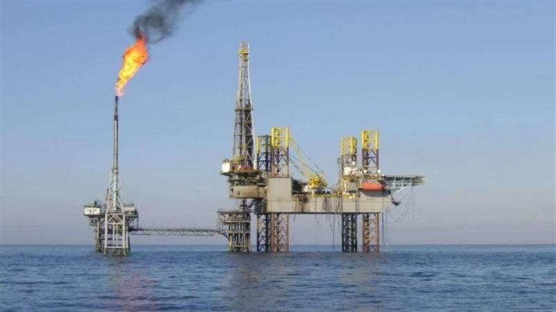 سداد متاخرات شركات
