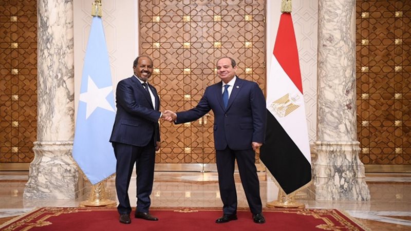  السيسي يستقبل رئيس