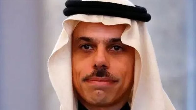 الأمير فيصل بن فرحان،