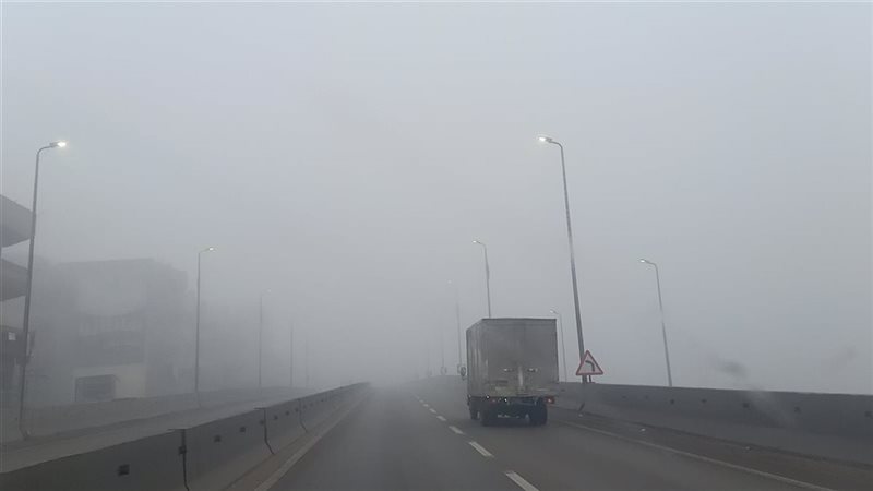 حالة الطقس غدا، فيتو