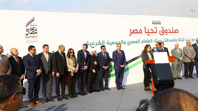 صندوق تحيا مصر،فيتو