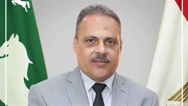 محافظ الشرقية