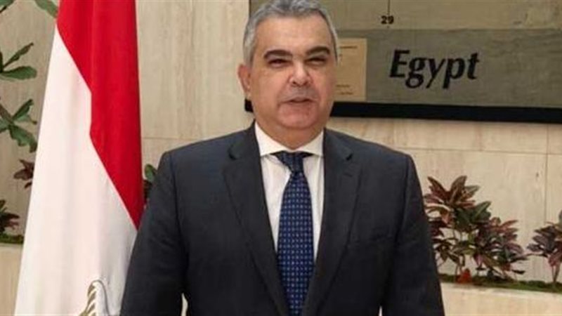 السفير المصري في