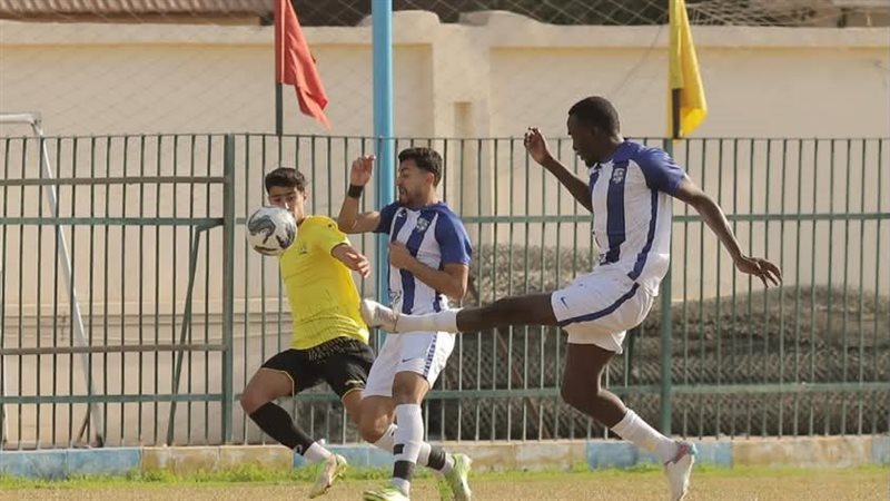 دوري المحترفين