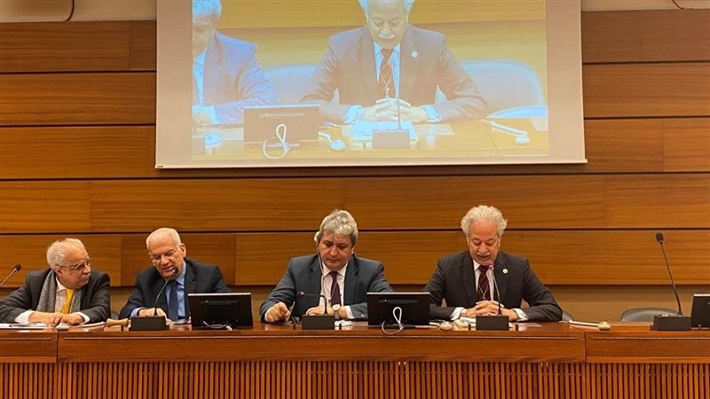 فعالية المنظمة العربية