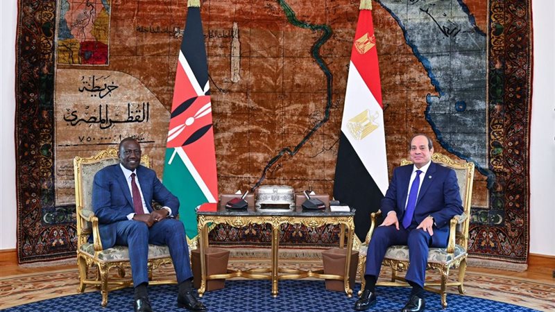 الرئيس عبد الفتاح
