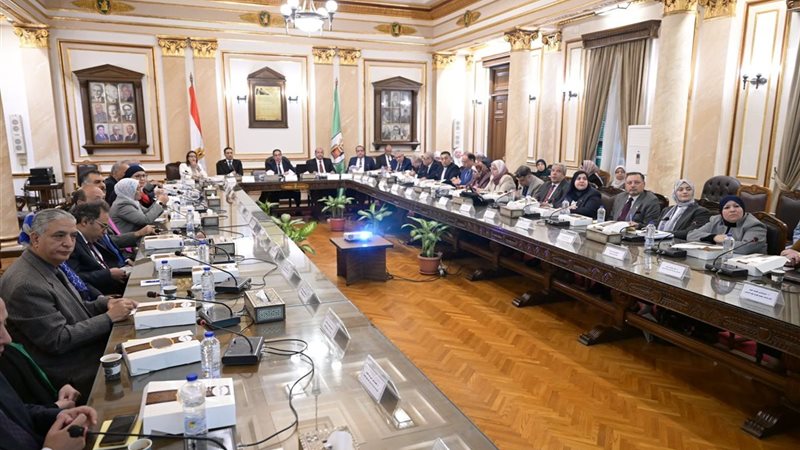 مجلس جامعة القاهرة