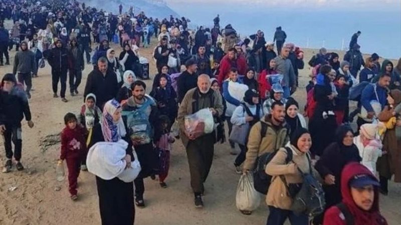 الفلسطنيين،فيتو 