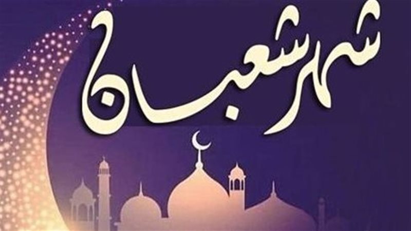 صورة أرشيفية، فيتو