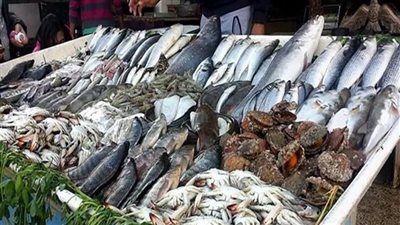 أسعار السمك اليوم بسوق العبور، انخفاض 9 أصناف أكبرها في الجمبري