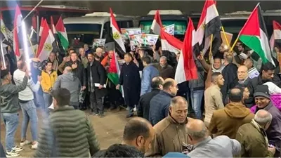 من رفح.. رفض شعبي واسع لمحاولة تصفية القضية الفلسطينية.. المحافظات المصرية تستجيب لدعوة الأحزاب.. والجميع يرفع شعار «ندعم فلسطين ولا للتهجير»