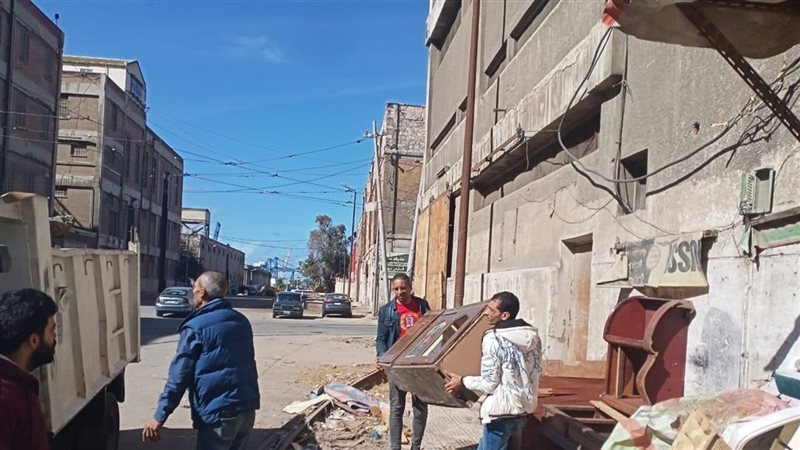 الاسكندرية , فيتو