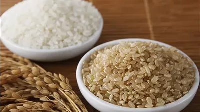  سعر الأرز في السوق اليوم الخميس 
