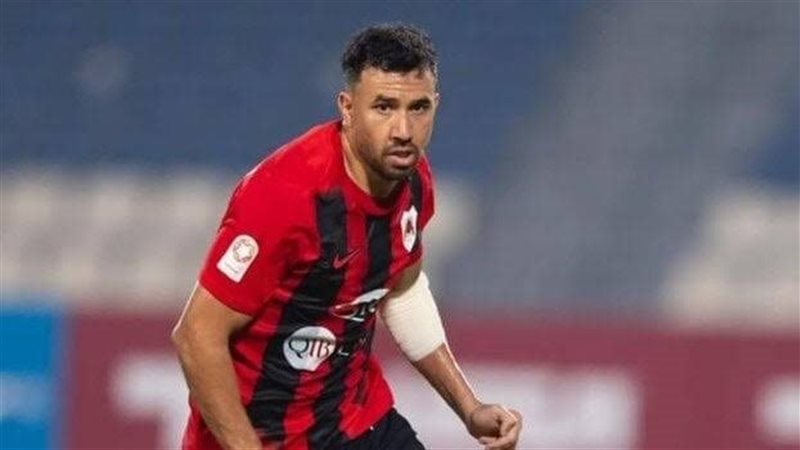 محمود حسن تريزيجيه،فيتو