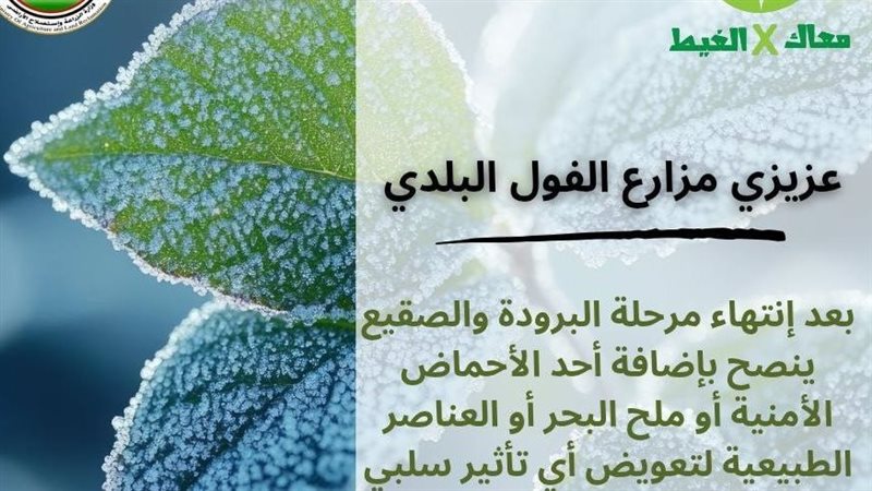 الزراعة تطلق حملة