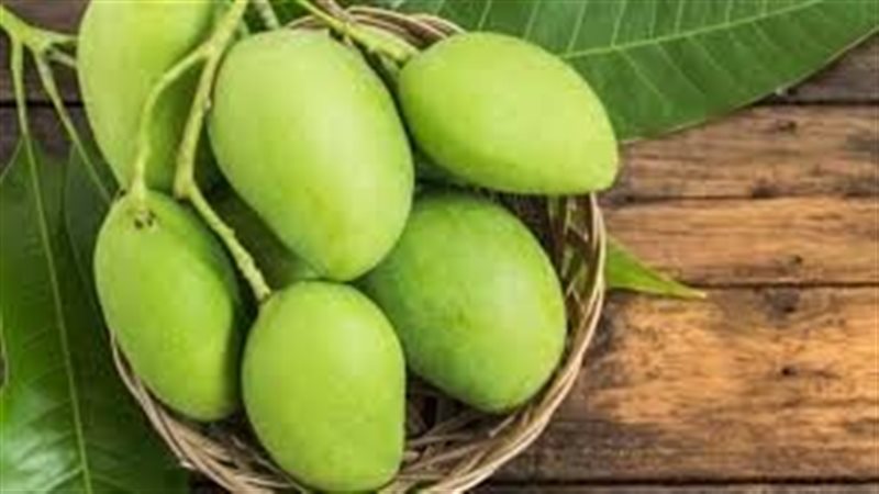 تفسير رؤية المانجو