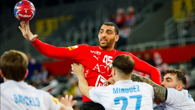سيف الدرع، فيتو