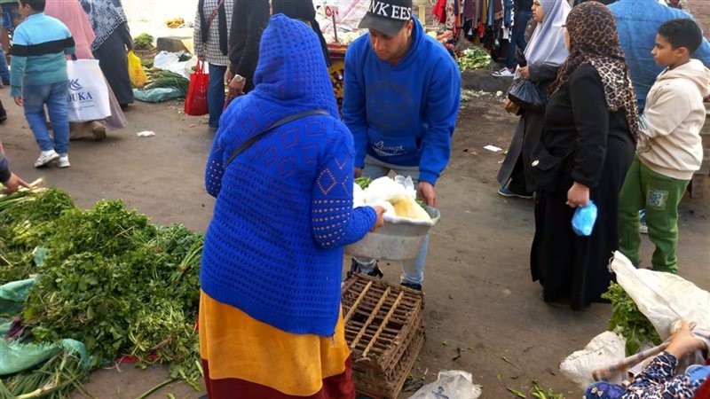 حى وسط بالإسكندرية