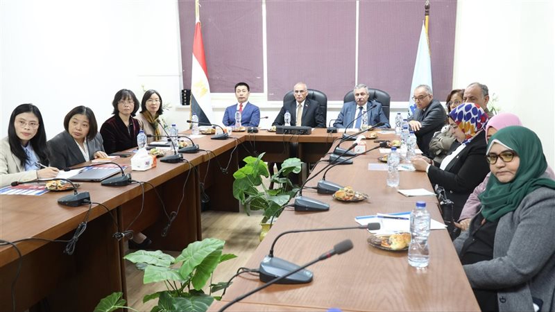 التعليم العالي والبحث