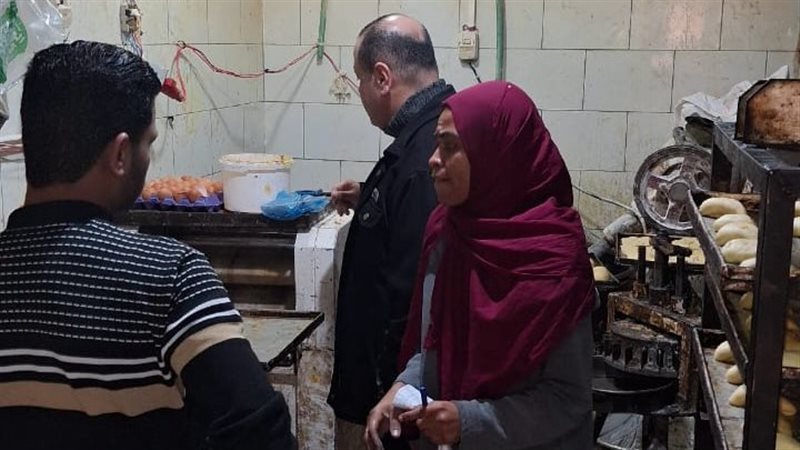 تموين الإسكندرية