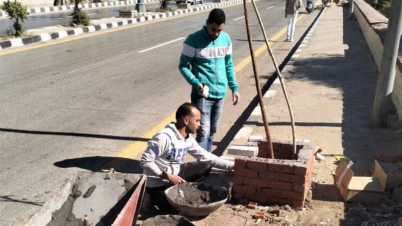 زراعة الأشجار بأسيوط،