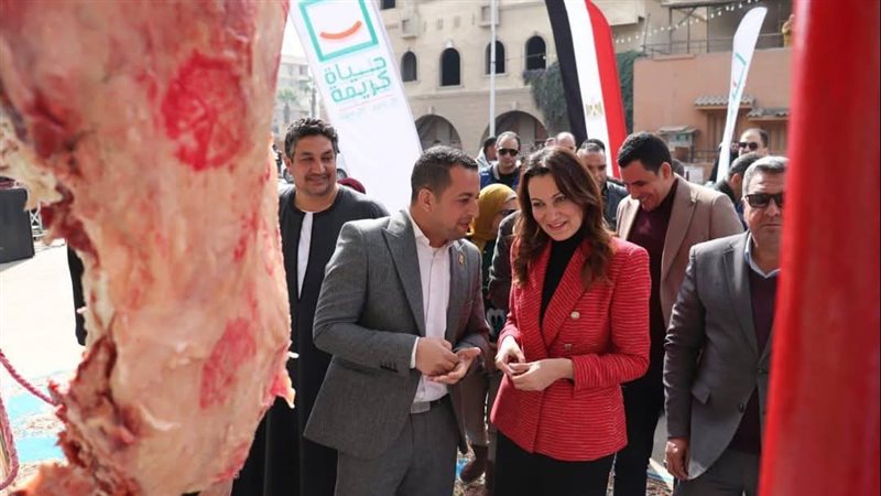 توفير اللحوم 