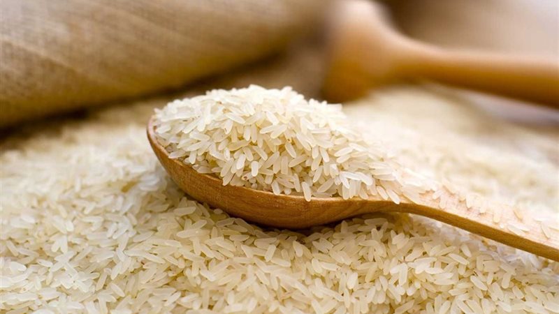 سعر الأرز
