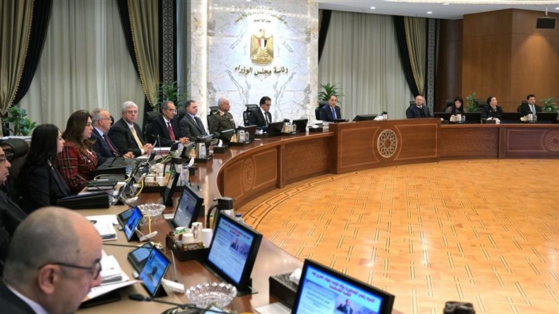 مجلس الوزراء، فيتو
