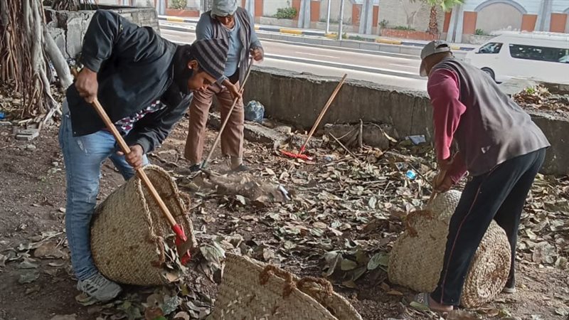 الإسكندرية 