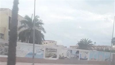 غيوم ورياح شديدة وصقيع، حالة من الطقس السيئ تغطي الإسكندرية (فيديو)