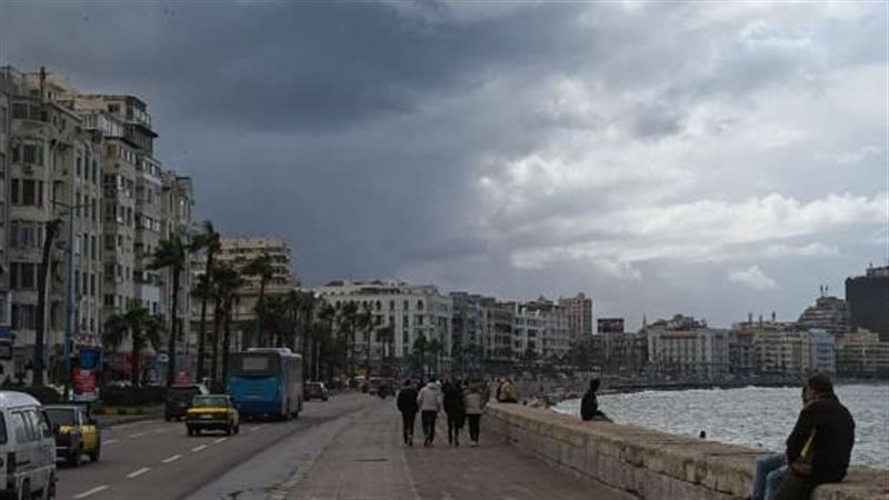 الإسكندرية، فيتو