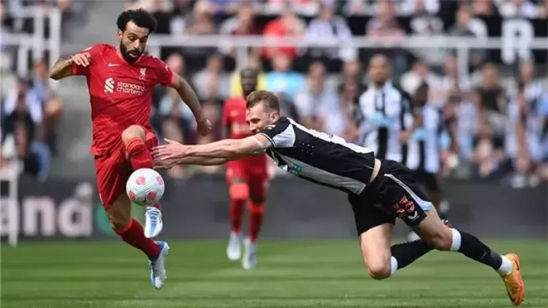 ليفربول ونيوكاسل