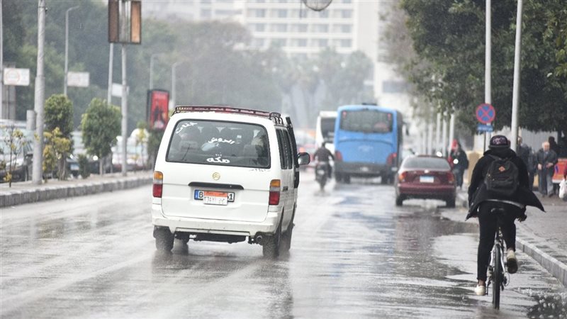 حالة الطقس غدا، فيتو