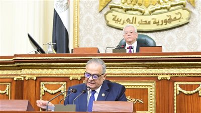 النواب يقر ضوابط محاكمة المصابين بأمراض عقلية ونفسية
