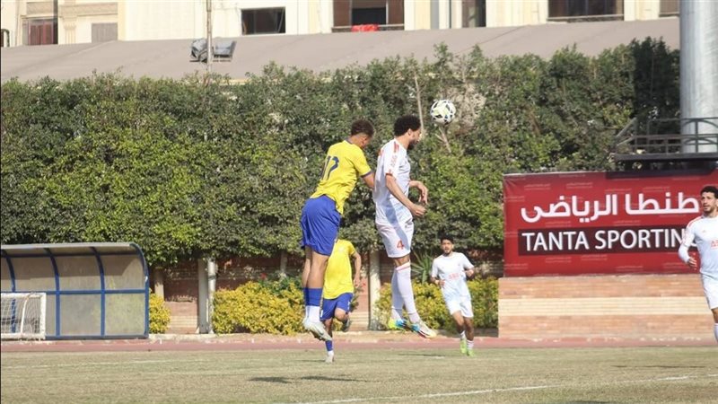 دوري المحترفين