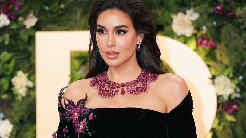 ياسمين صبري، فيتو