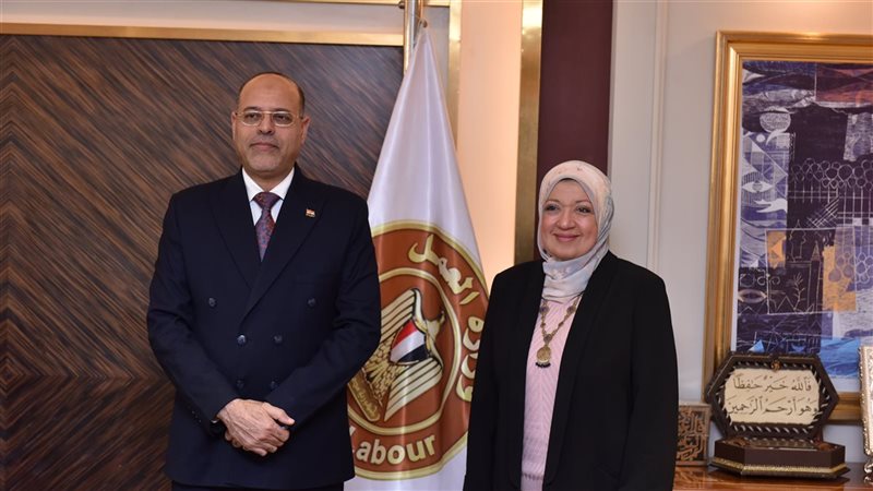 وزارة العمل، فيتو